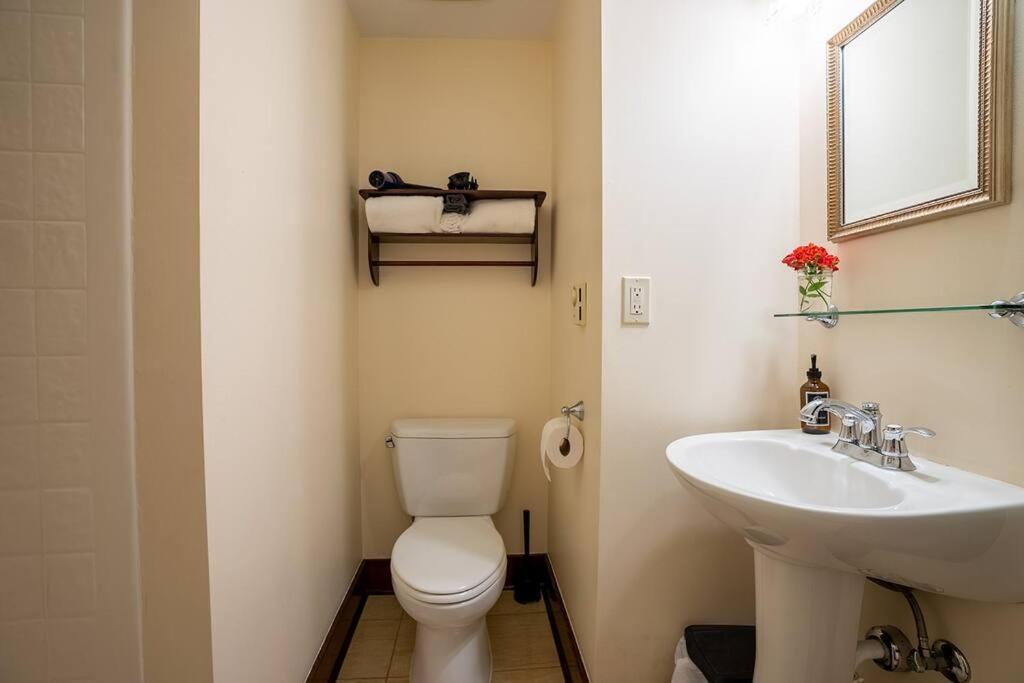 Charming 1Bd Suite In Capitol Hill - Foxglove Inn 西雅图 外观 照片
